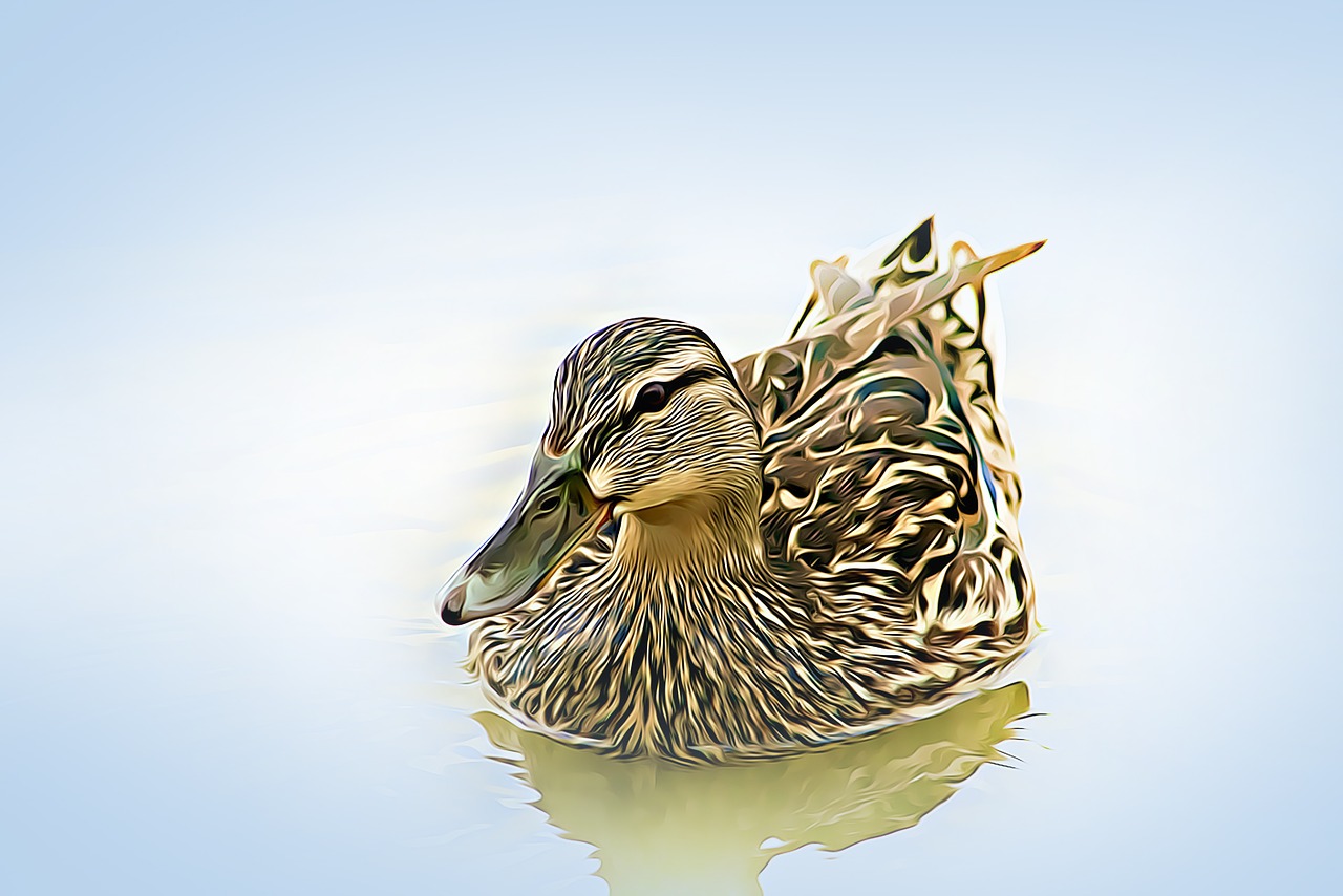 Image - digital graphics duck wild ducks