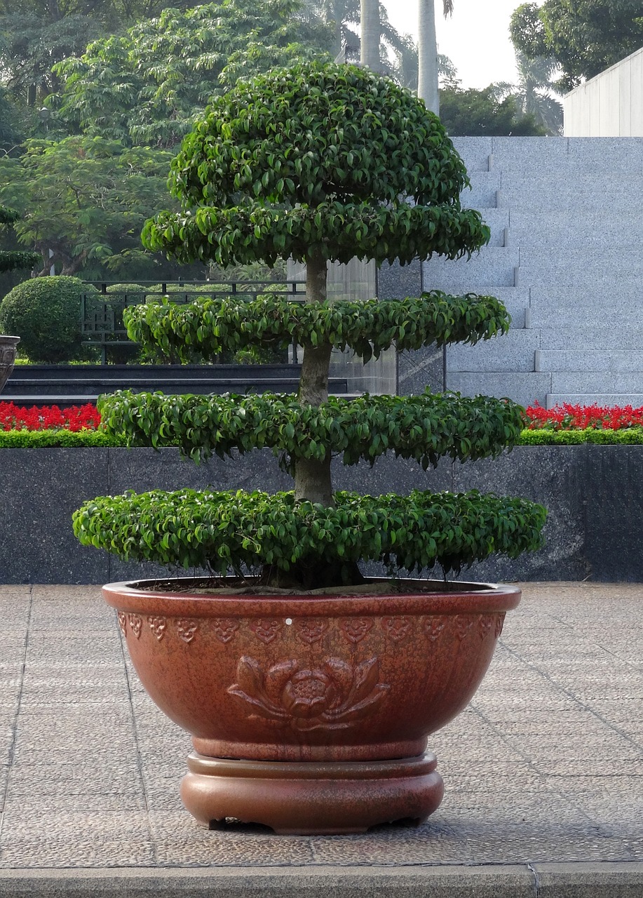 Image - vietnam honor monument me ho chi