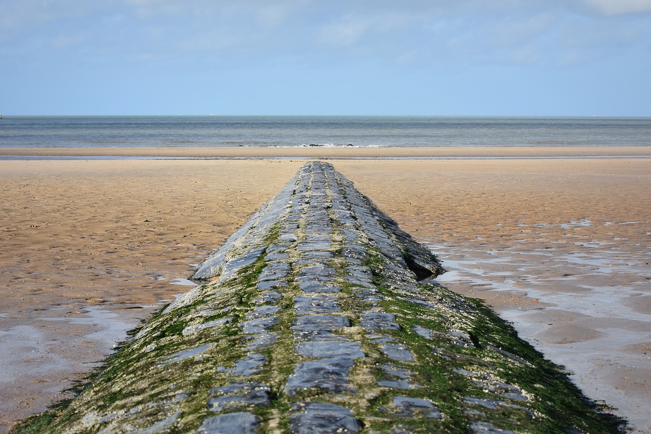 Image - breakwater beach nature sea sand