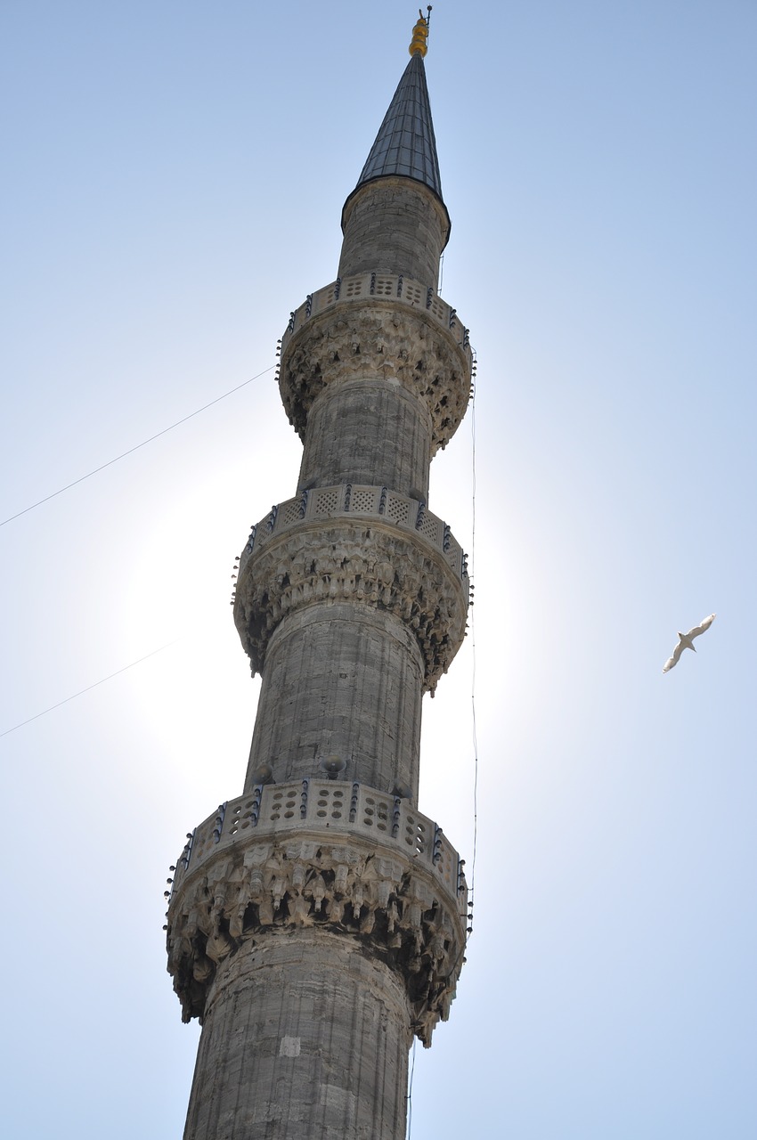 Image - istanbul blue cami solar bird