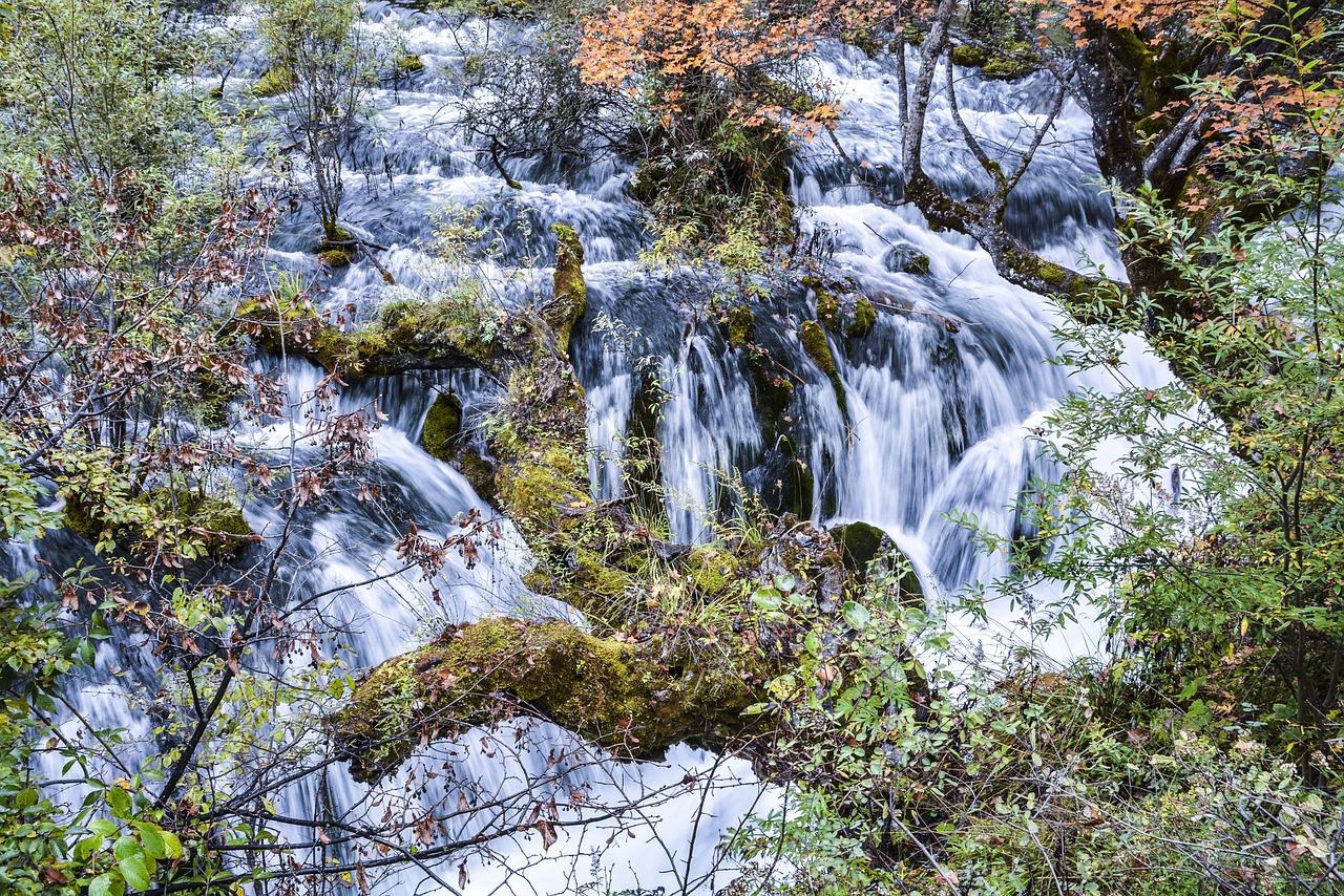 Image - falls the scenery views pretty