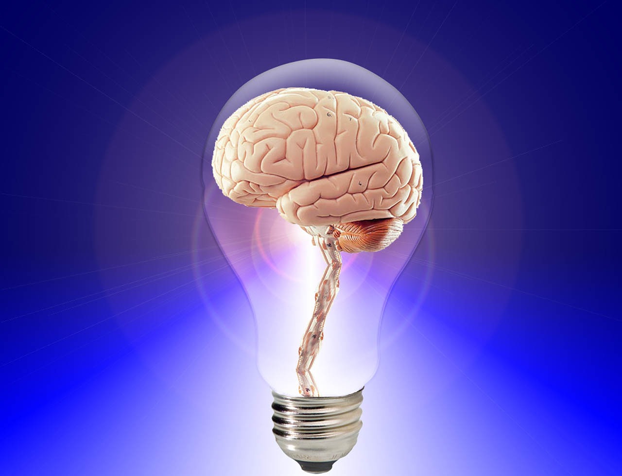 Image - brain think human idea