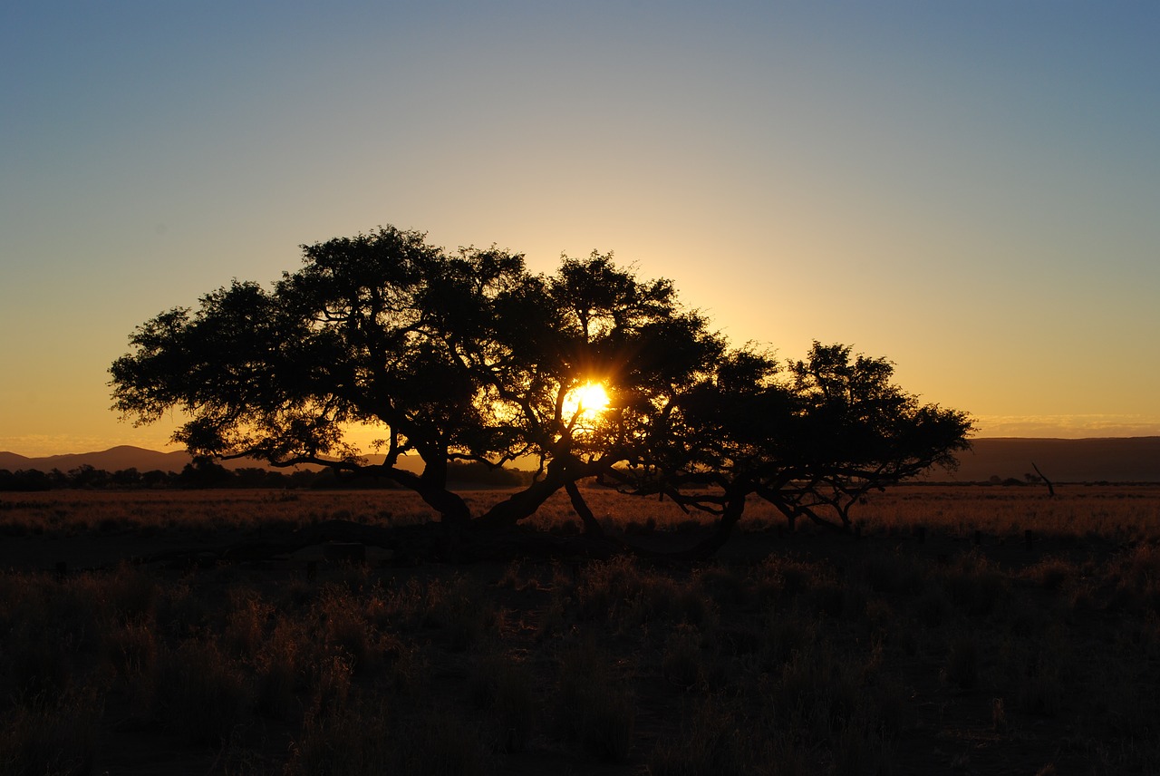 Image - africa sunset namibia landscape