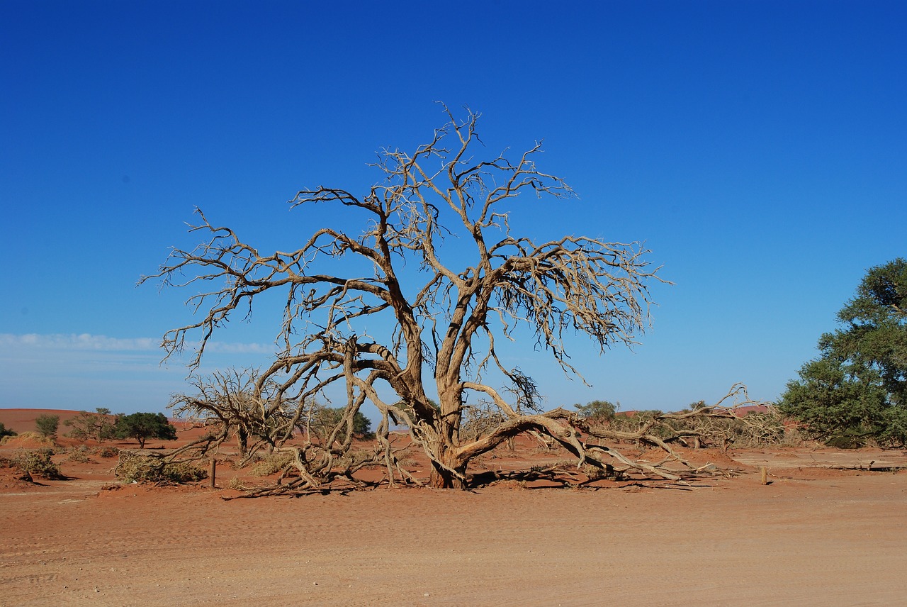 Image - namibia africa sossusvlei desert