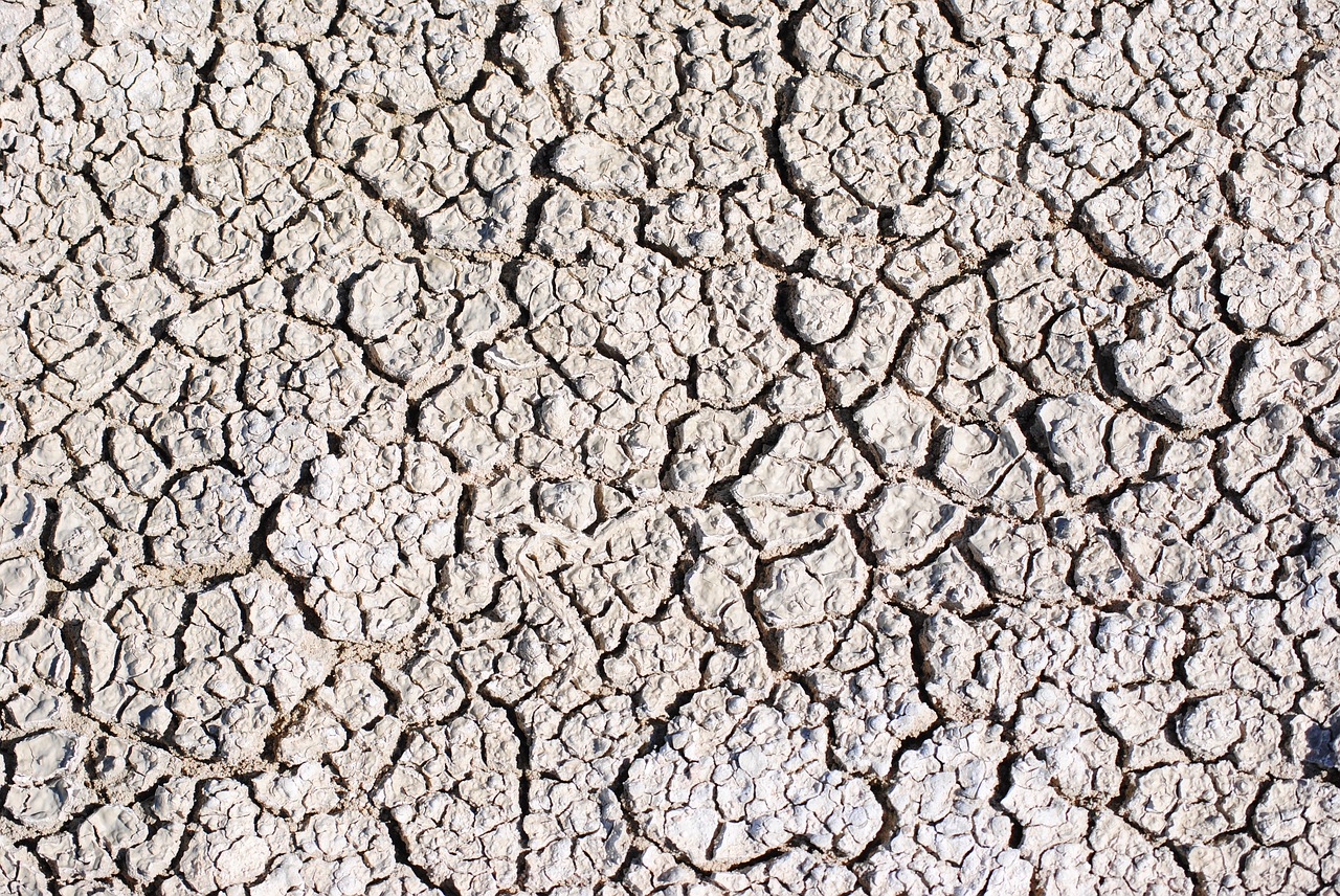 Image - africa namibia etosha dry earth