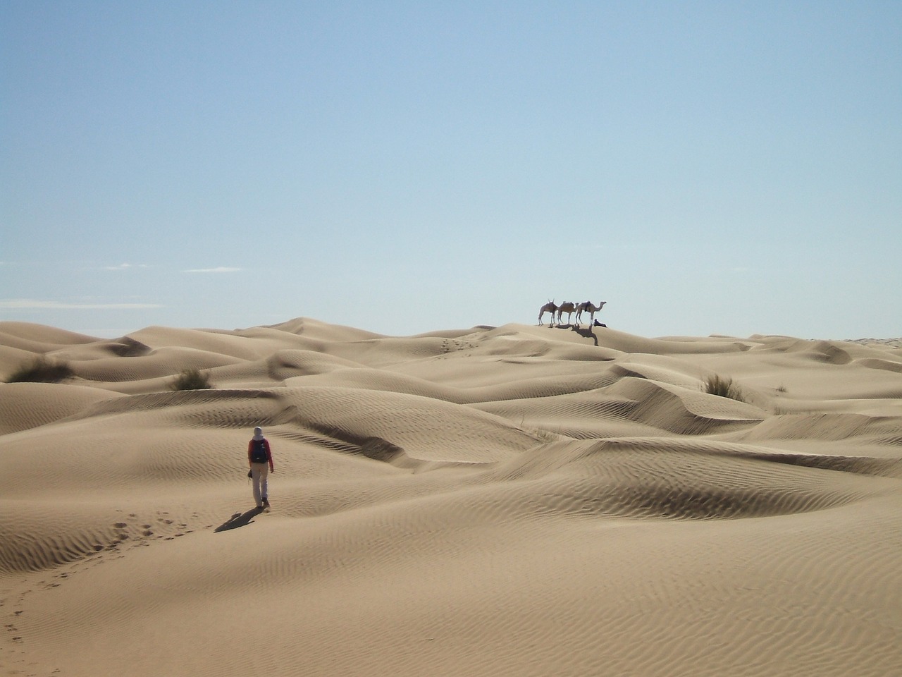 Image - sahara desert sand dunes caravan