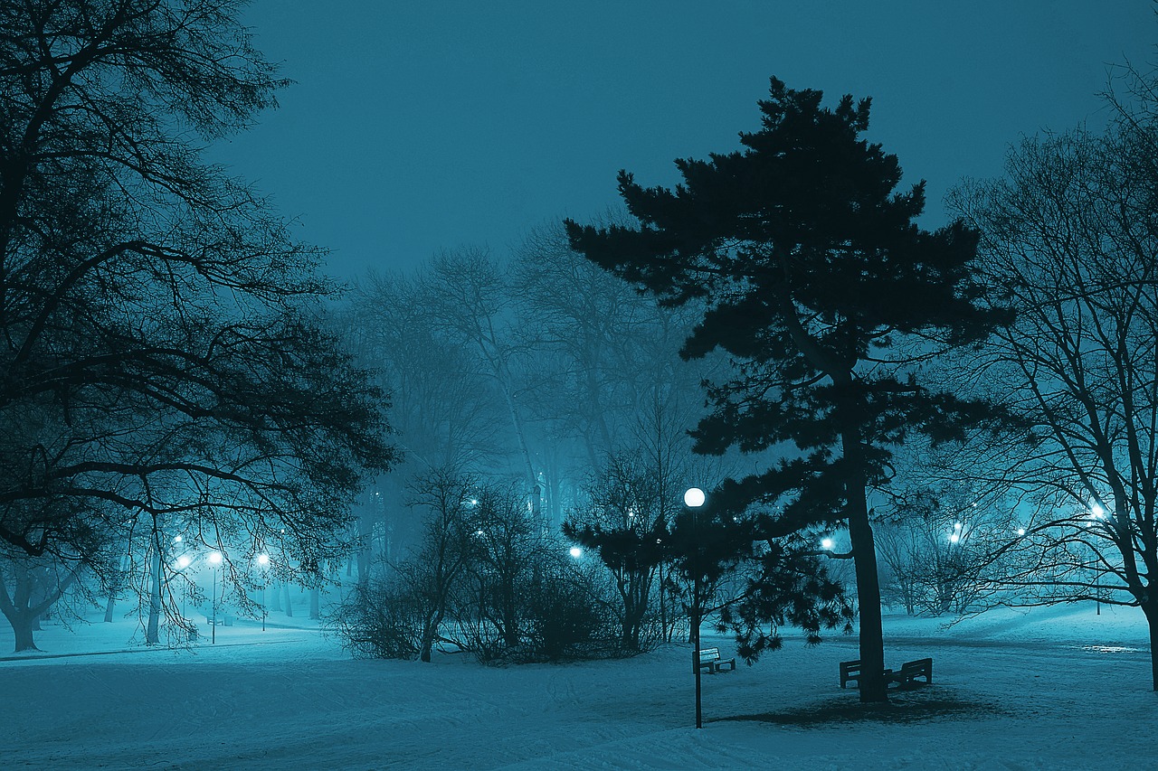 Image - park night winter the fog lamp