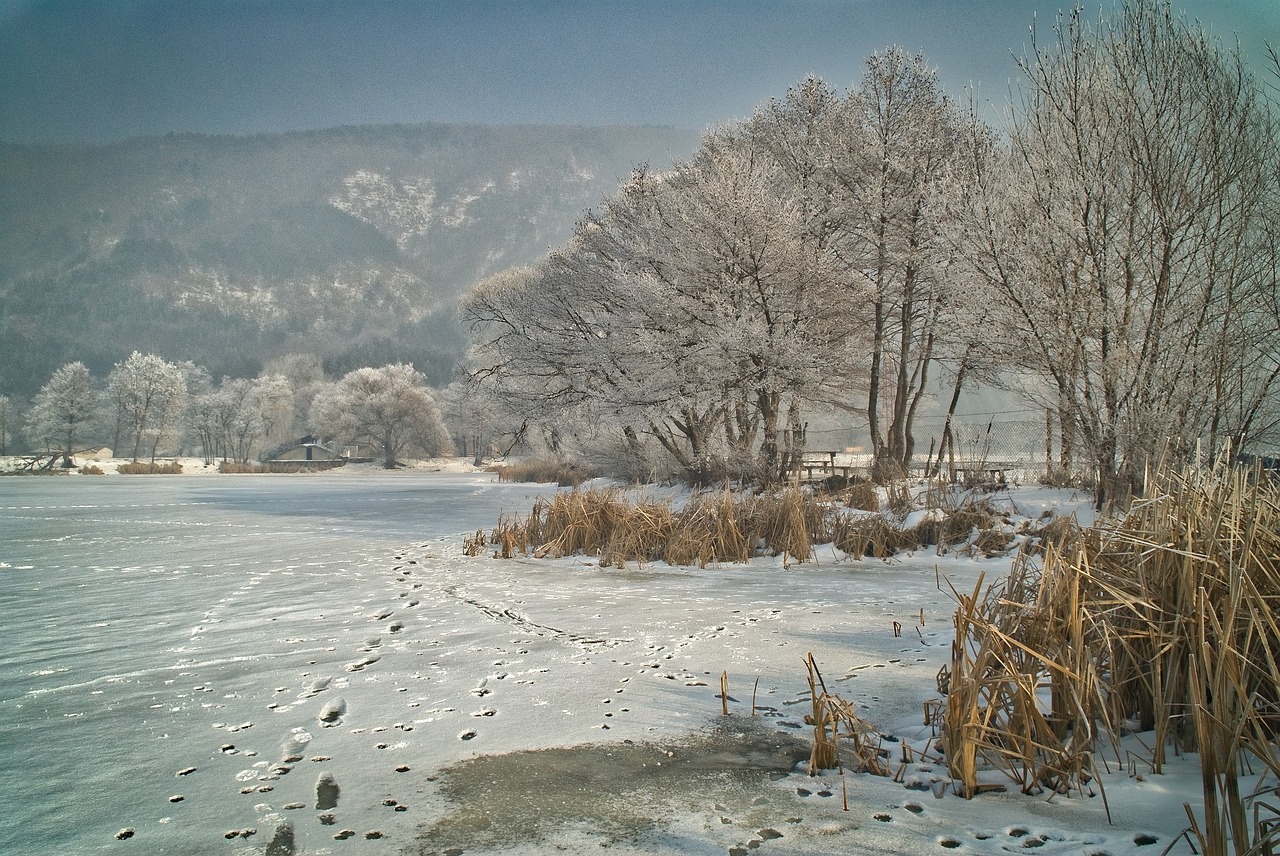 Image - winter landscape snow cold nature