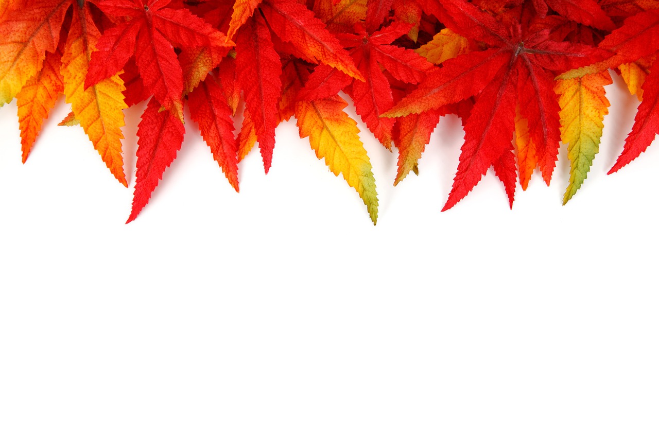 Image - abstract autumn background bright