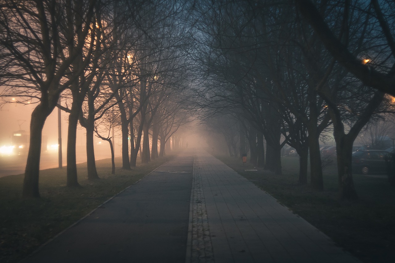 Image - city walkway street boat the fog