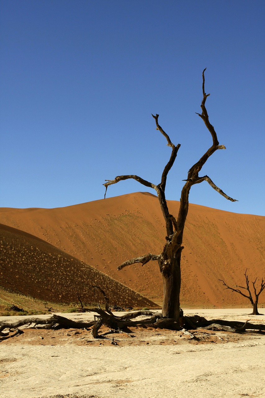 Image - namibia sossusvlei dunes nature