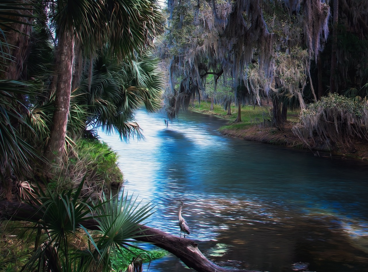 Image - palms florida spring tropical