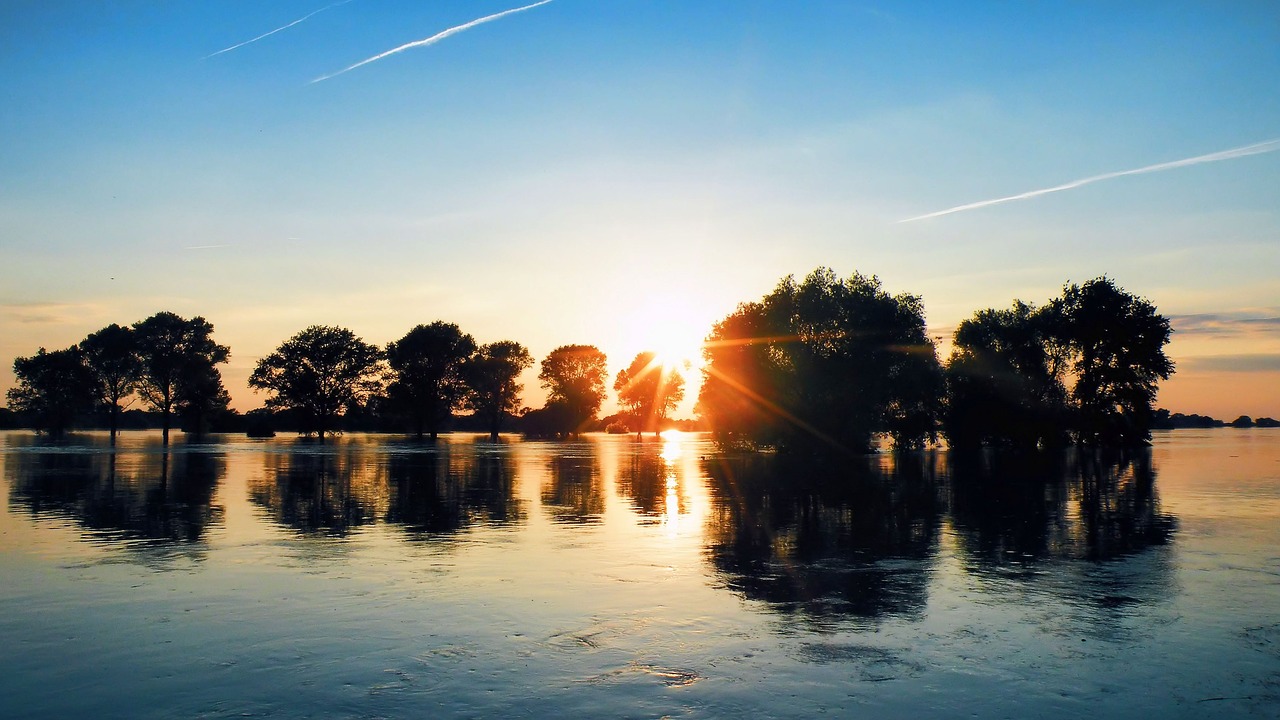 Image - high water trees sunrise sky