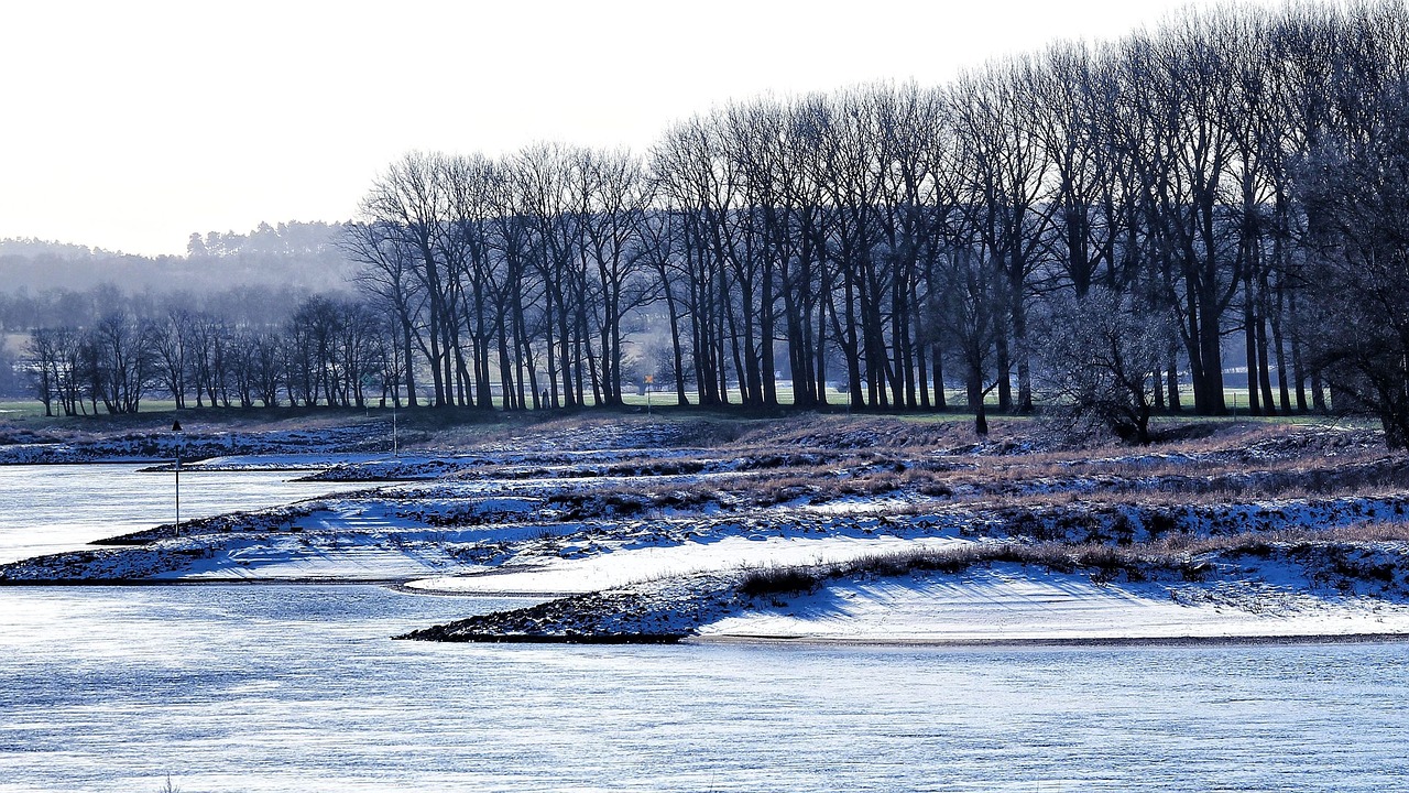 Image - winter ice river frozen trees