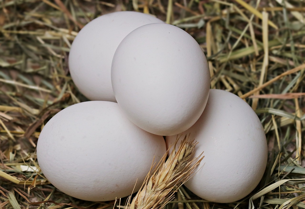 Image - egg straw food eat healthy edible