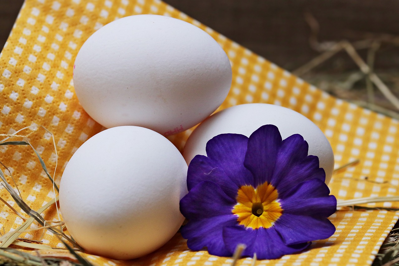 Image - egg straw flower blossom bloom