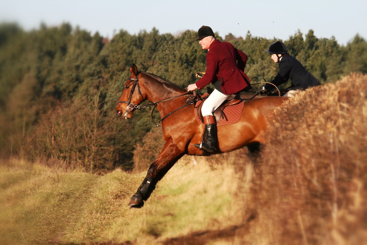 Image - horse jump equestrian gallop fence