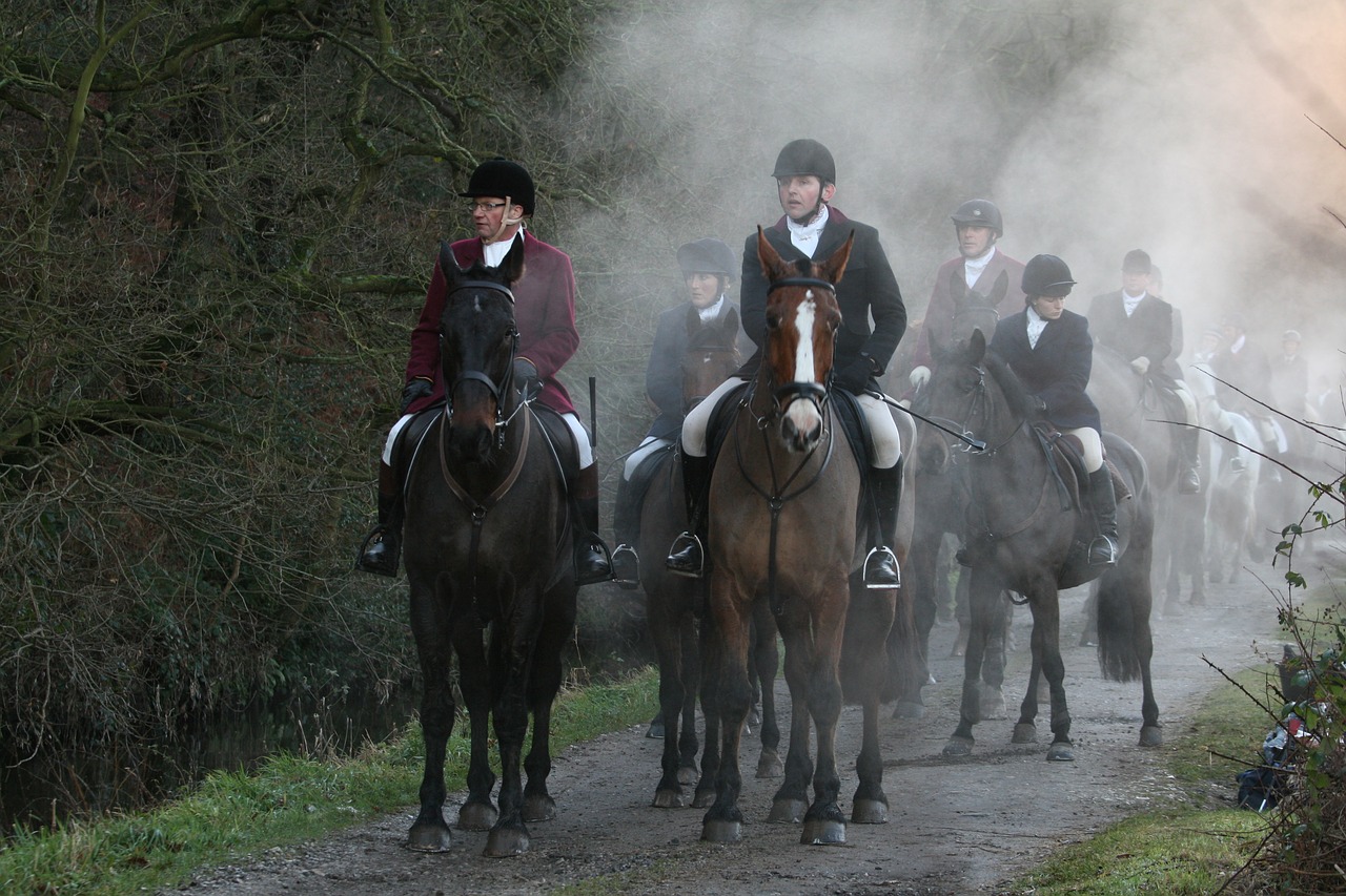 Image - equestrian countryside rural