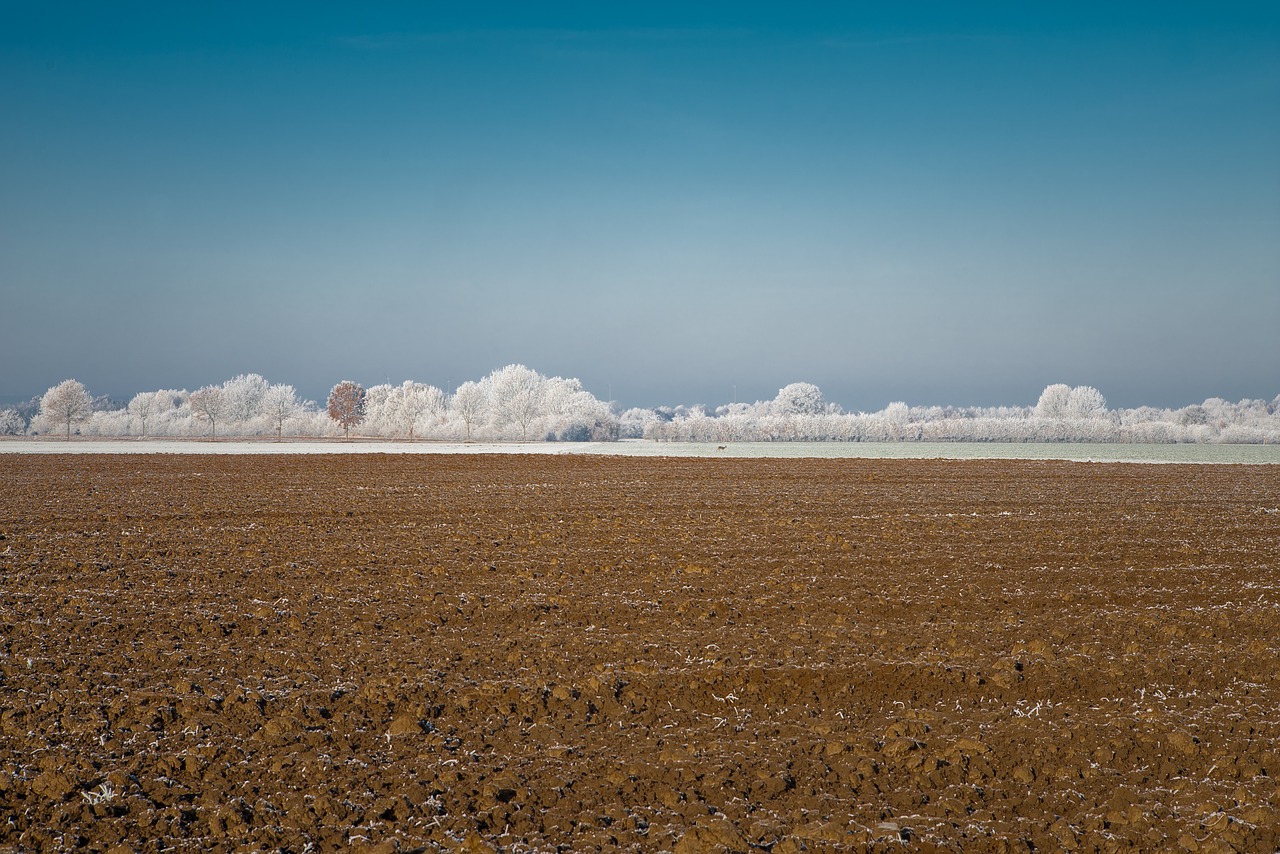 Image - arable field winter frost sky