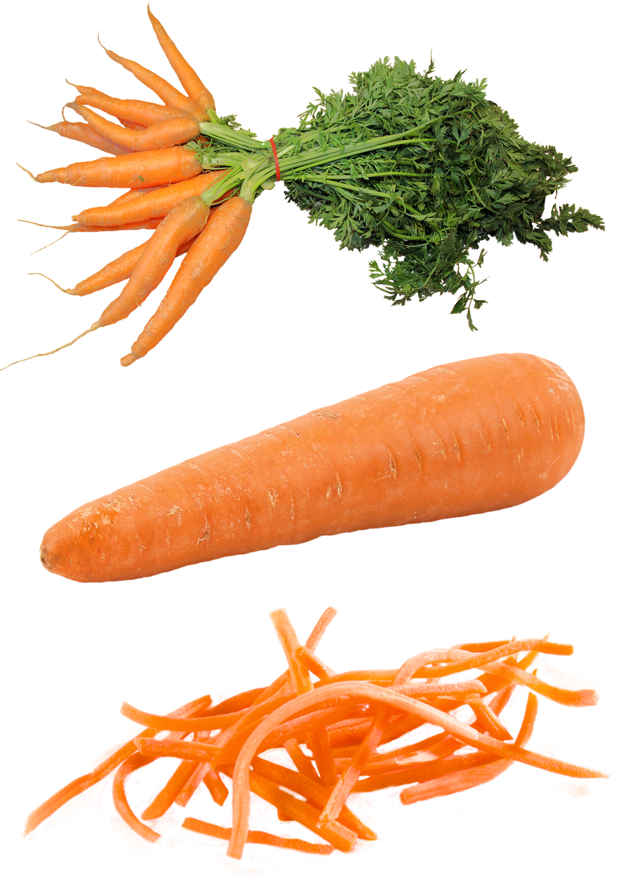 Image - isolated carrot food plant harvest