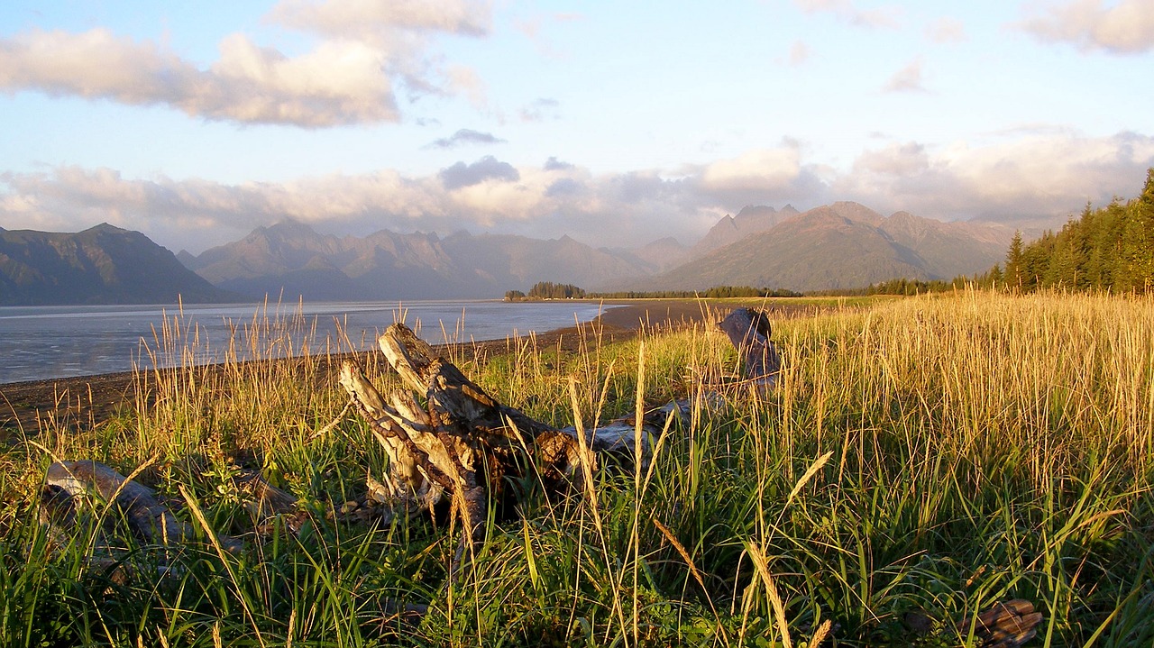 Image - chinitna bay lake clark national park