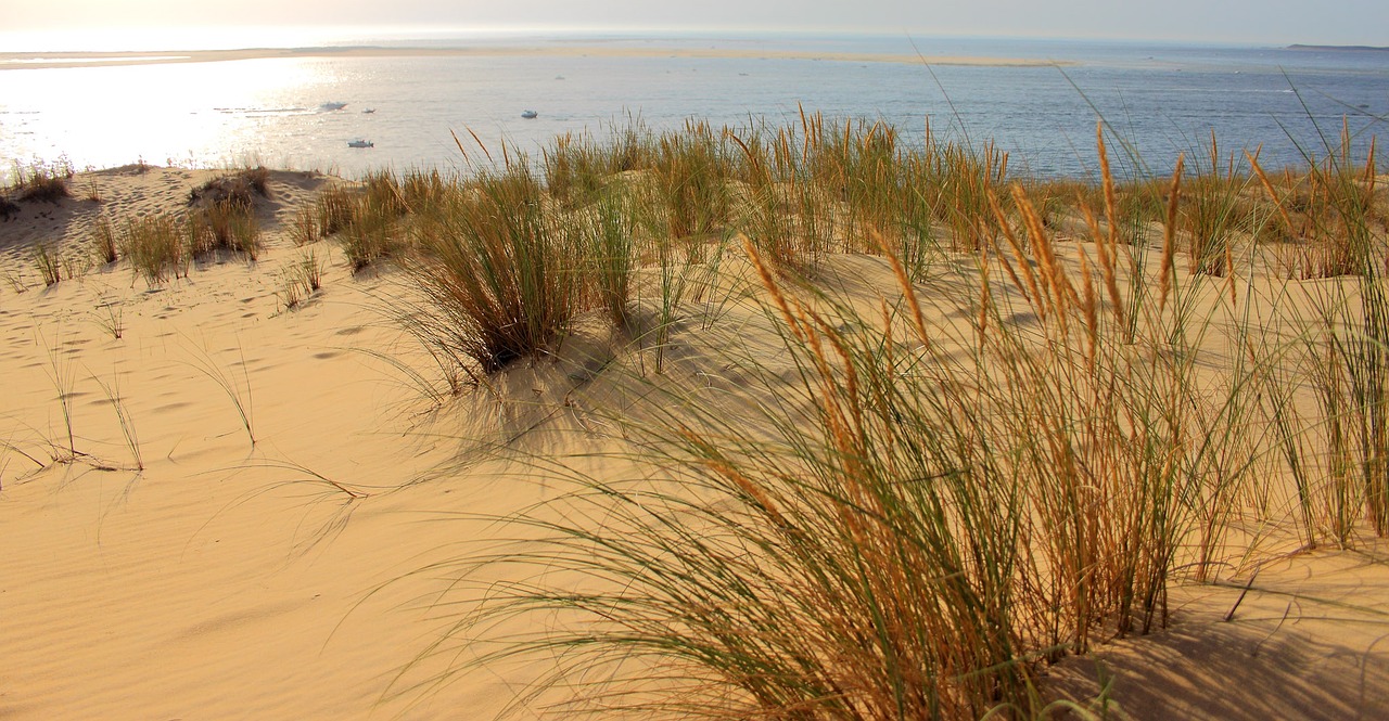 Image - sand dune dune pyla you sand dune