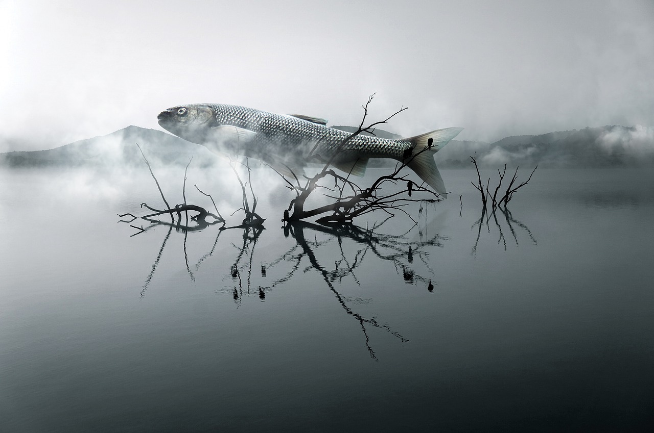 Image - fish river wood cloud surreal