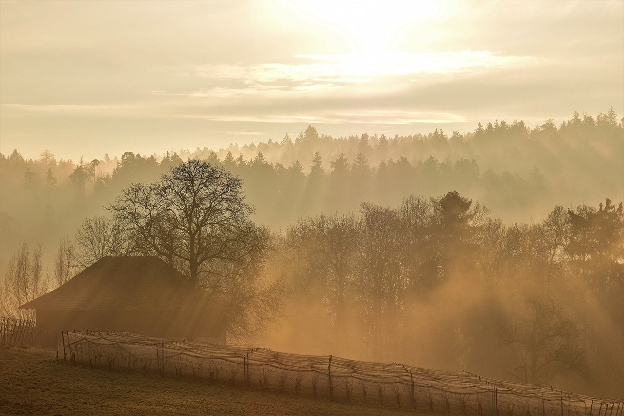 Image - landscape morgenrot autumn sunrise