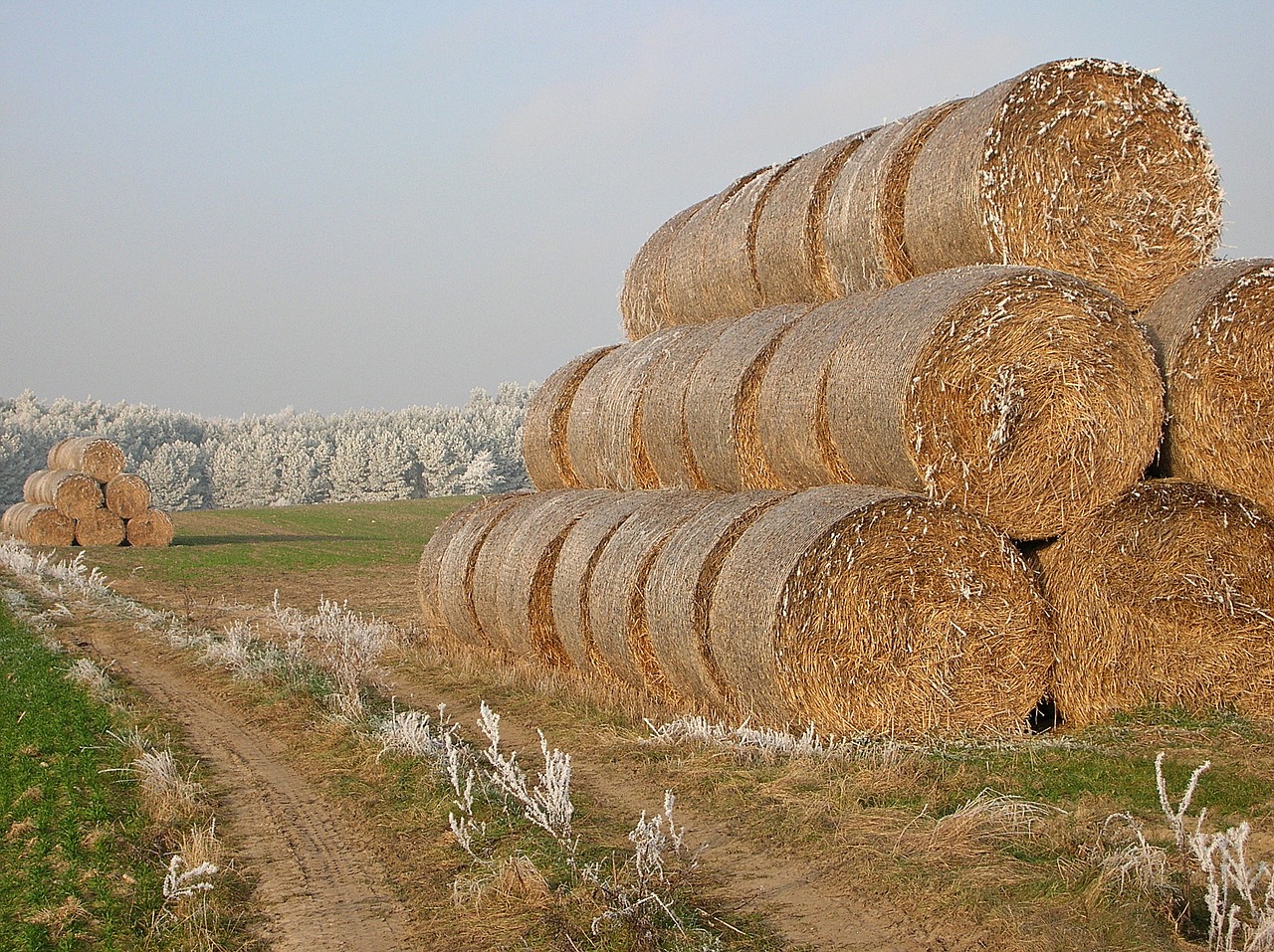 Image - winter straw frost field cold