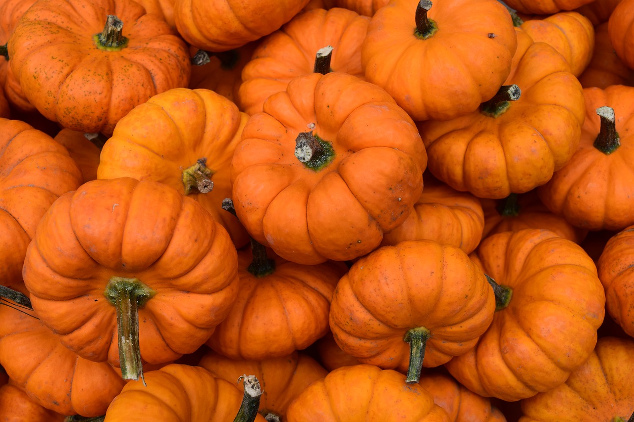 Image - gourd fall autumn orange seasonal