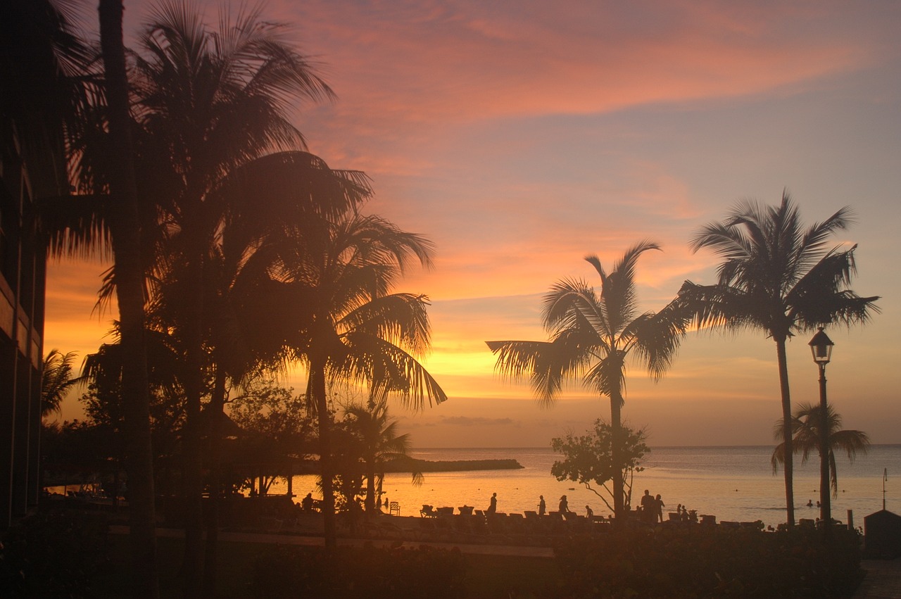 Image - dawn in jamaika beach palms sand