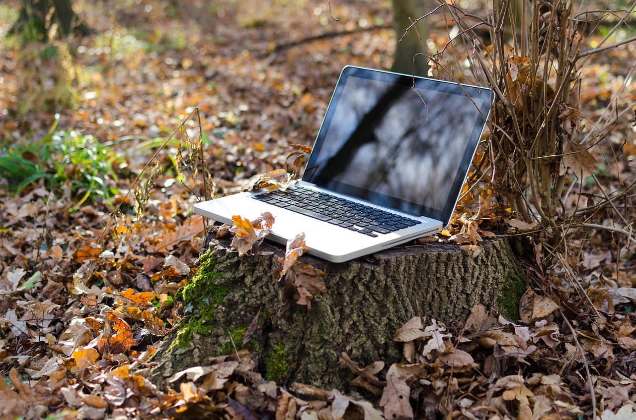 Image - laptop computer pc notebook green