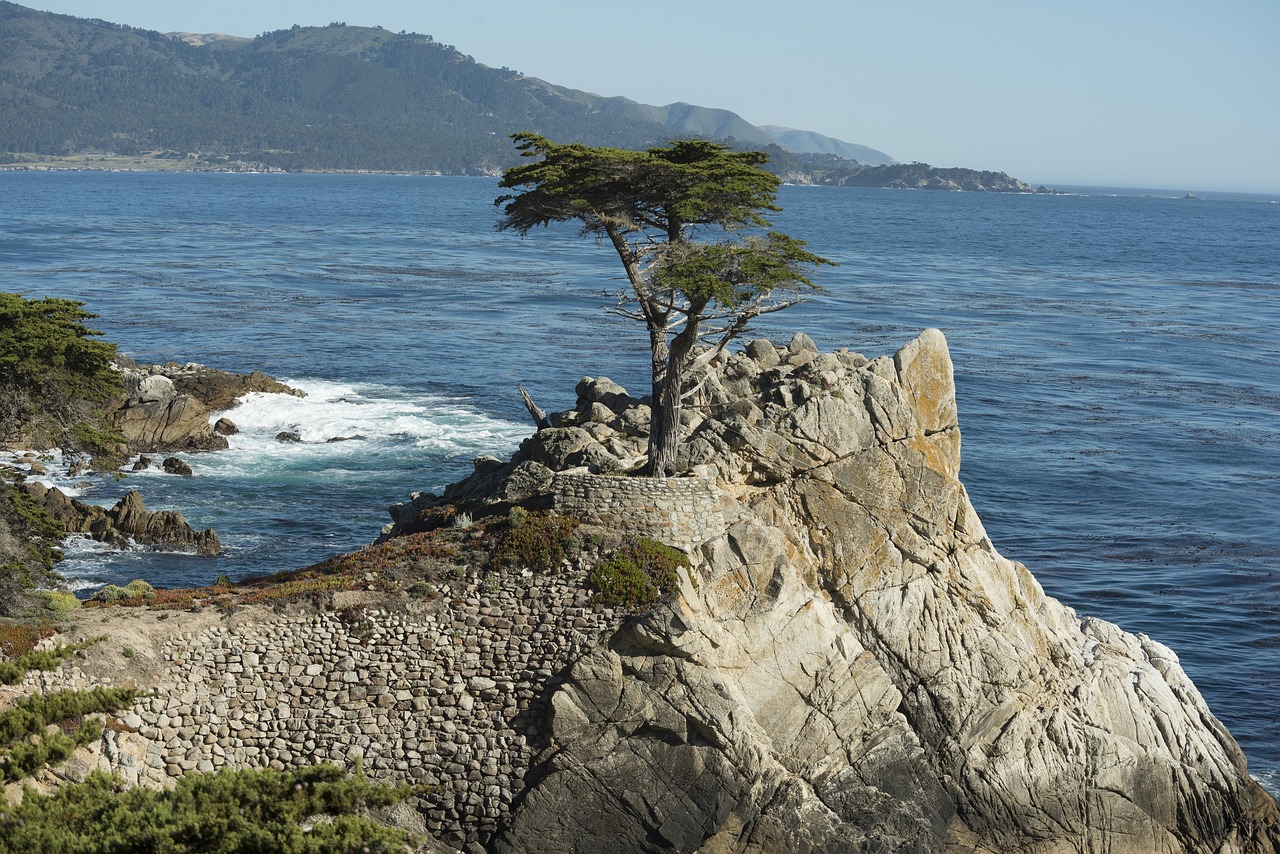 Image - pebble beach shoreline california