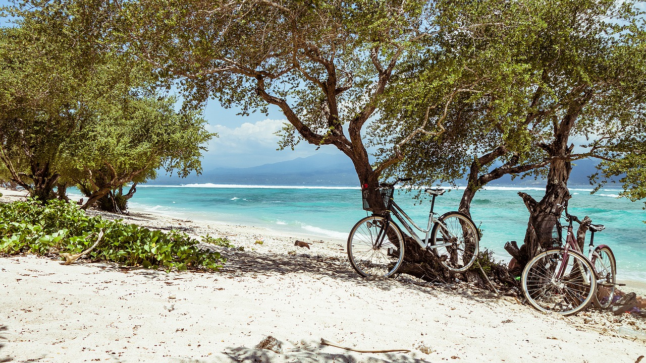 Image - bike beach bali trees sand