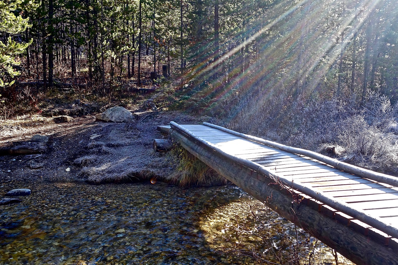 Image - sun rays light bridge focus