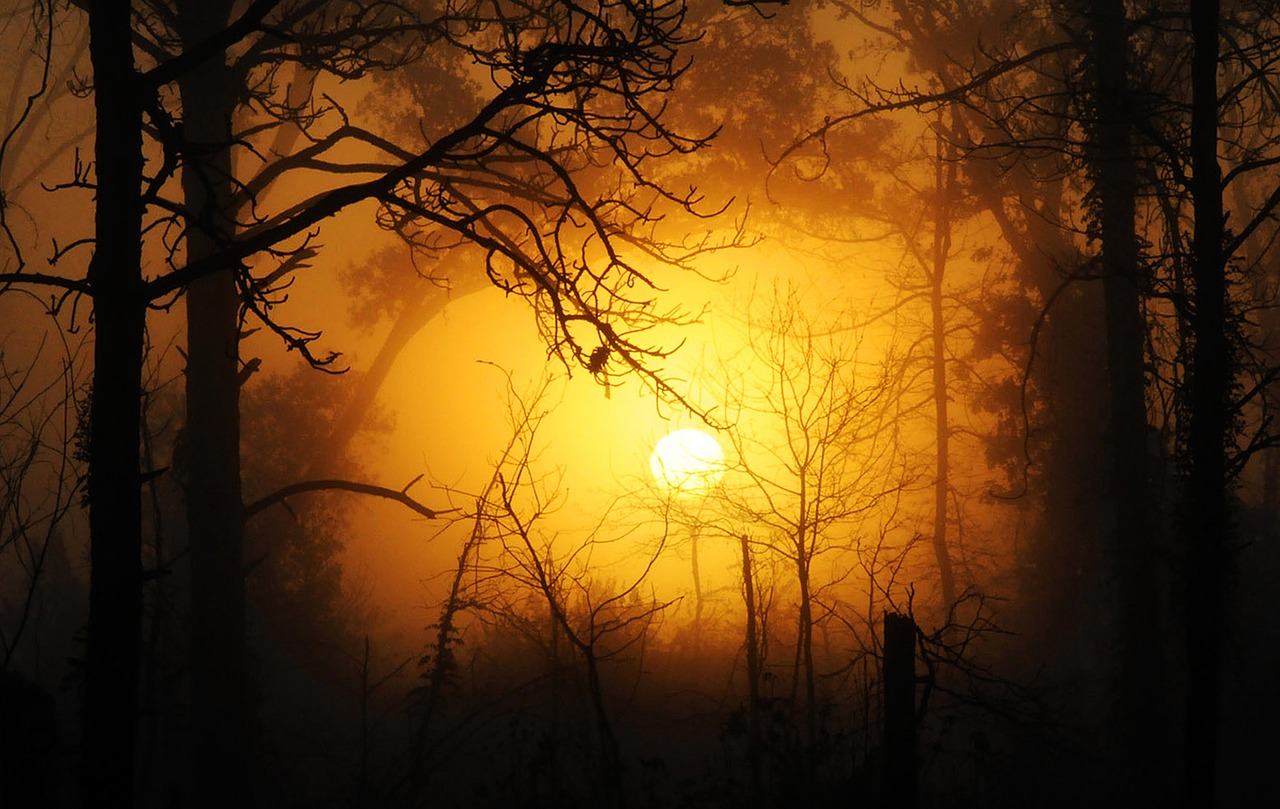 Image - sunset mist fog nature sky sun