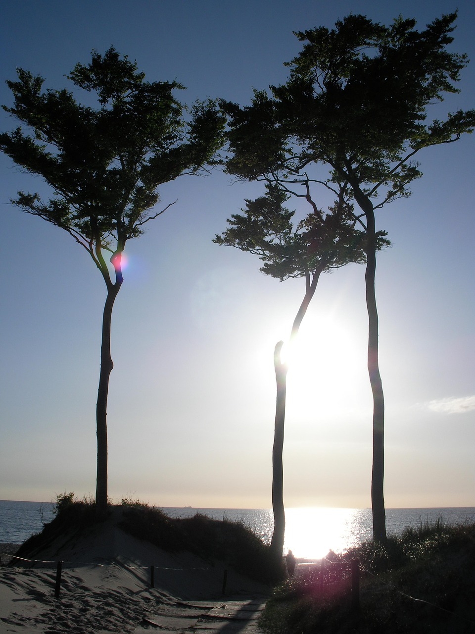 Image - twilight beach baltic sea sea