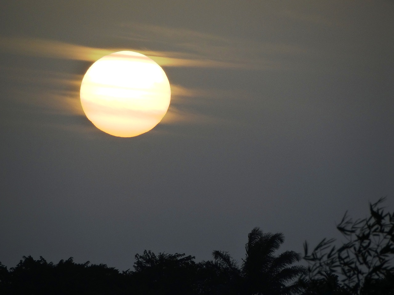 Image - dawn amazonia sol