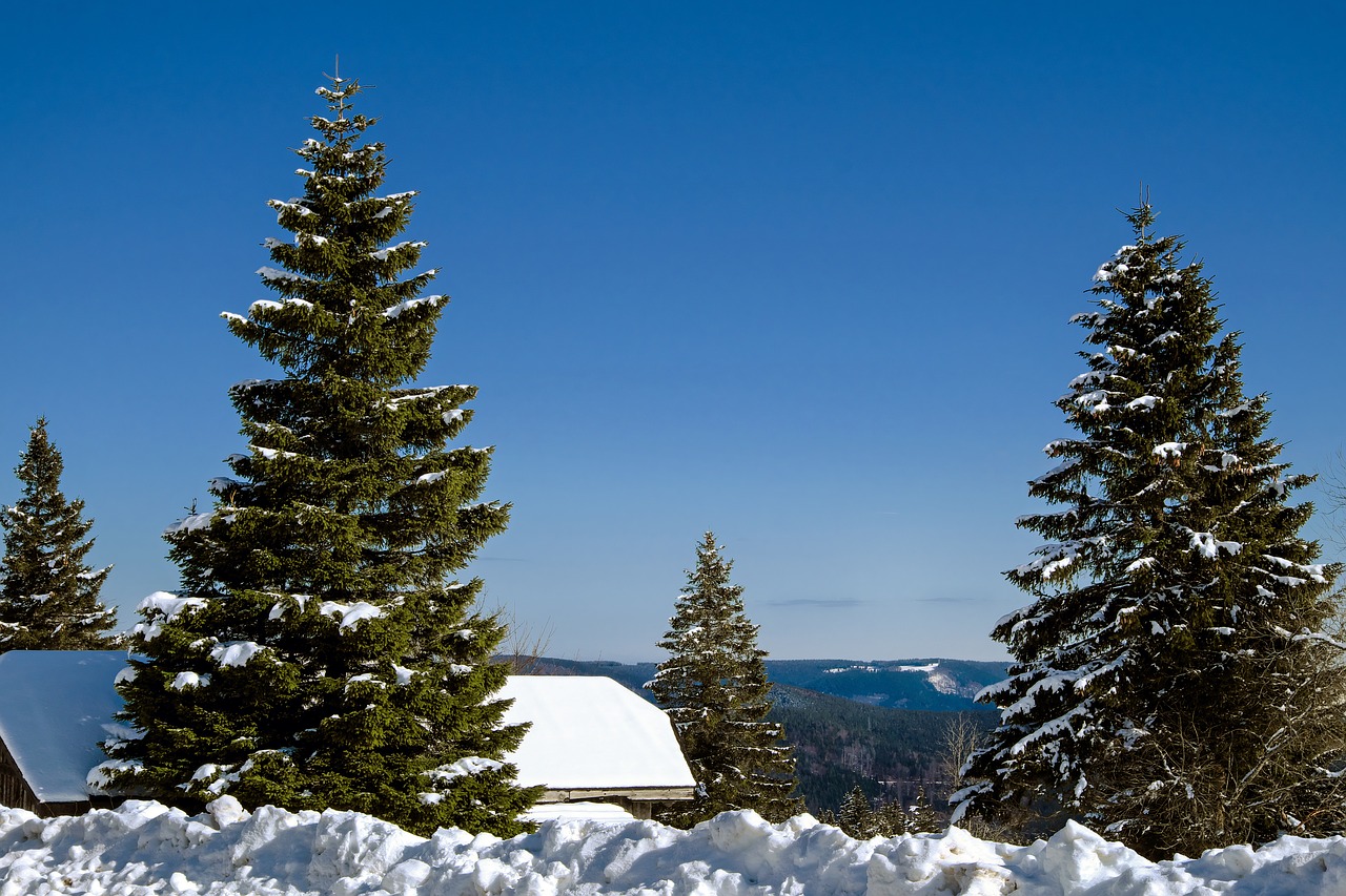 Image - black forest kandel mountain view