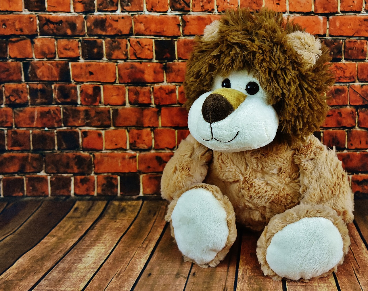 Image - soft toy lion stuffed animal funny