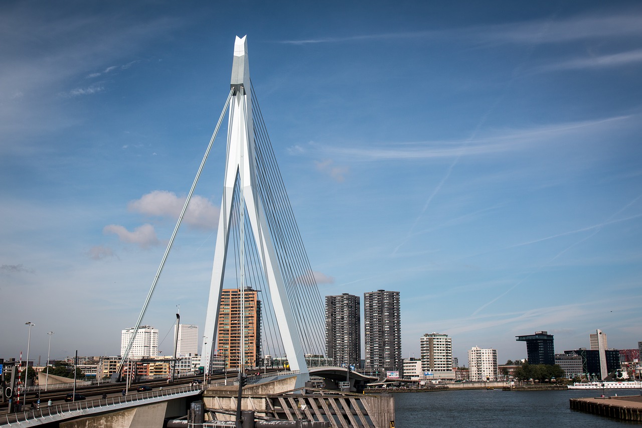 Image - rotterdam bridge city netherlands