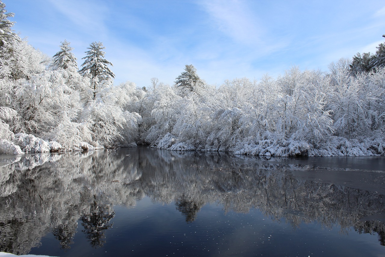 Image - snow winter water arcadia