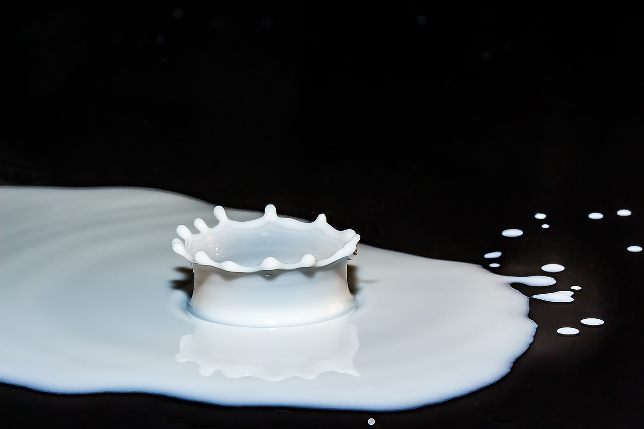 Image - drops of milk spray splash