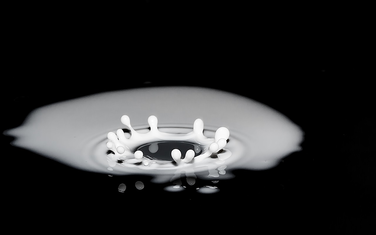 Image - drops of milk spray splash