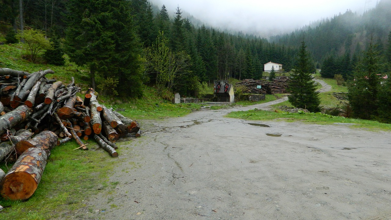 Image - the transfagarasan mountains forest