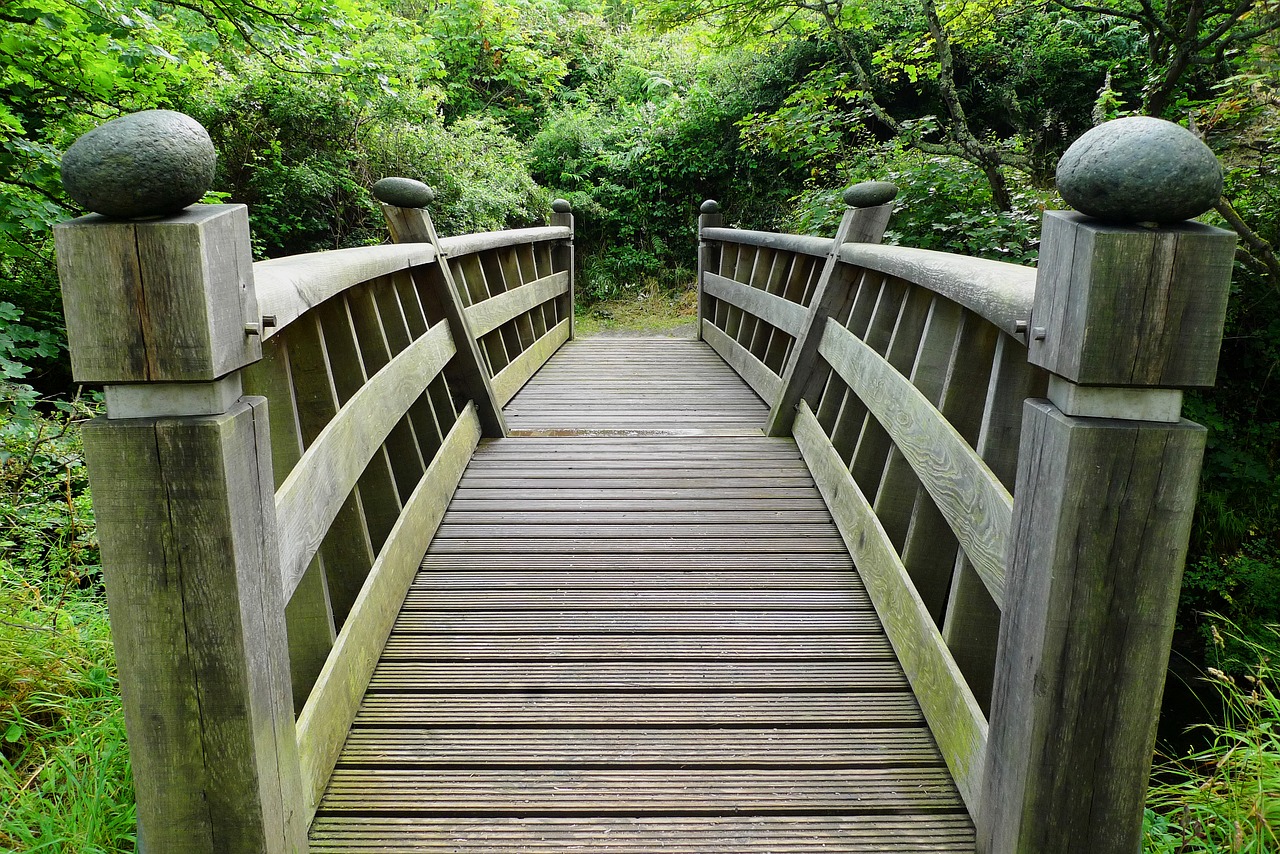 Image - bridge wooden wood crossing forest