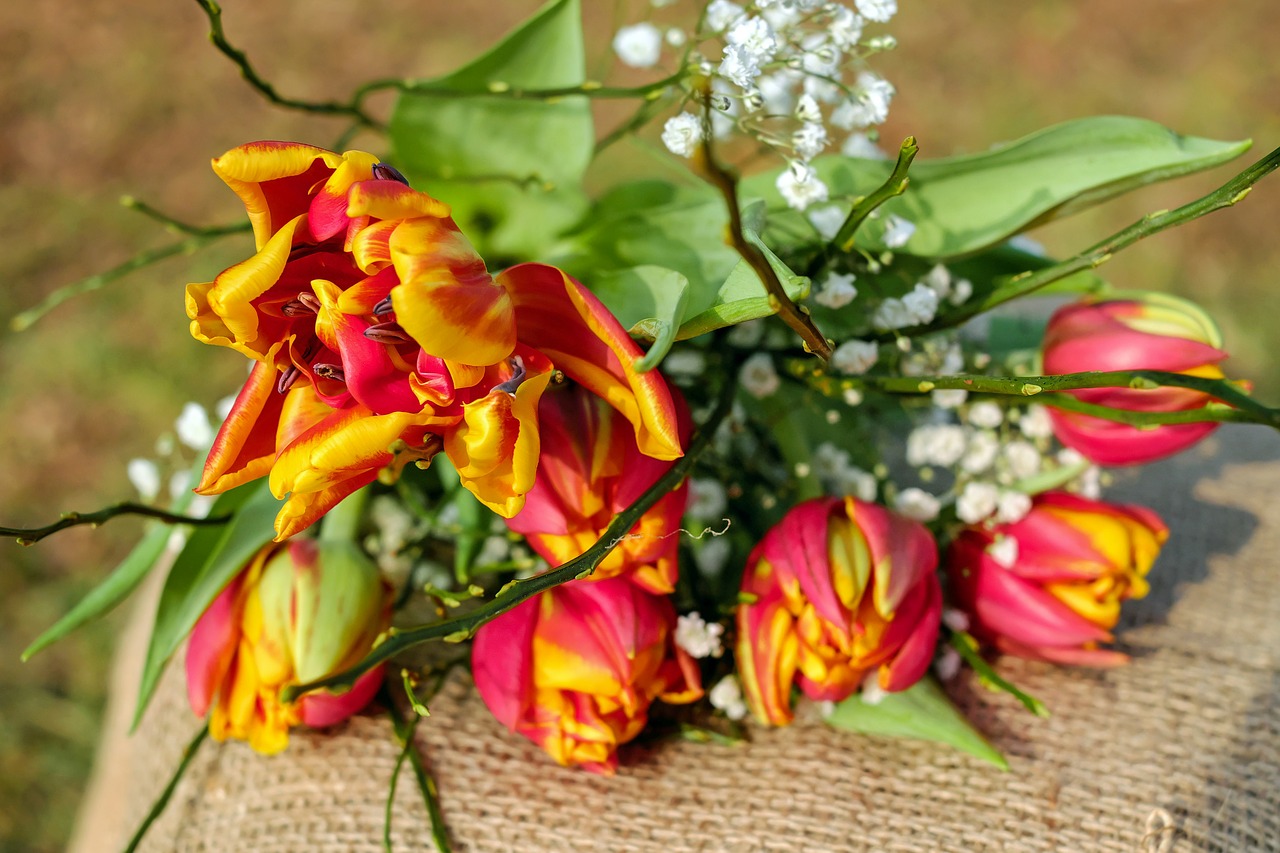 Image - tulips flowers tulip bouquet bloom