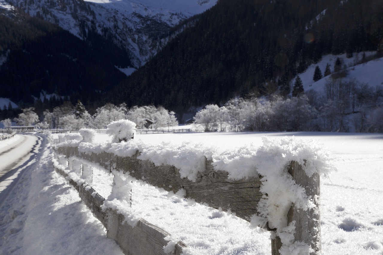 Image - fence winter panorama hoarfrost