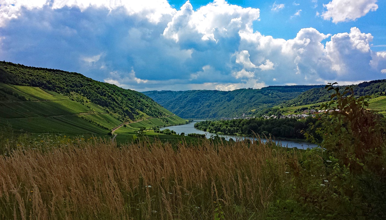 Image - briedel mosel sachsen germany wine