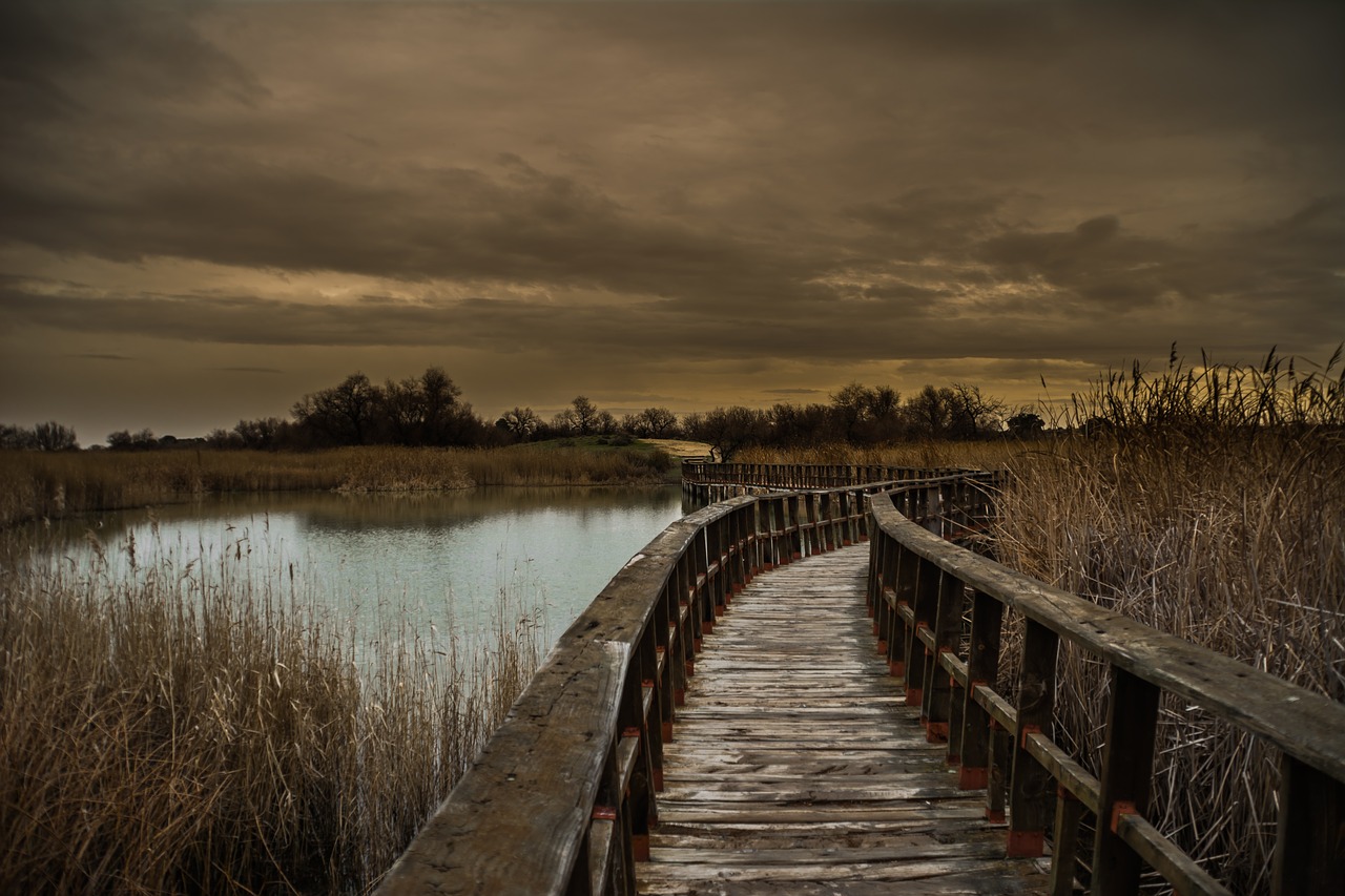 Image - daimiel nature the tables landscape